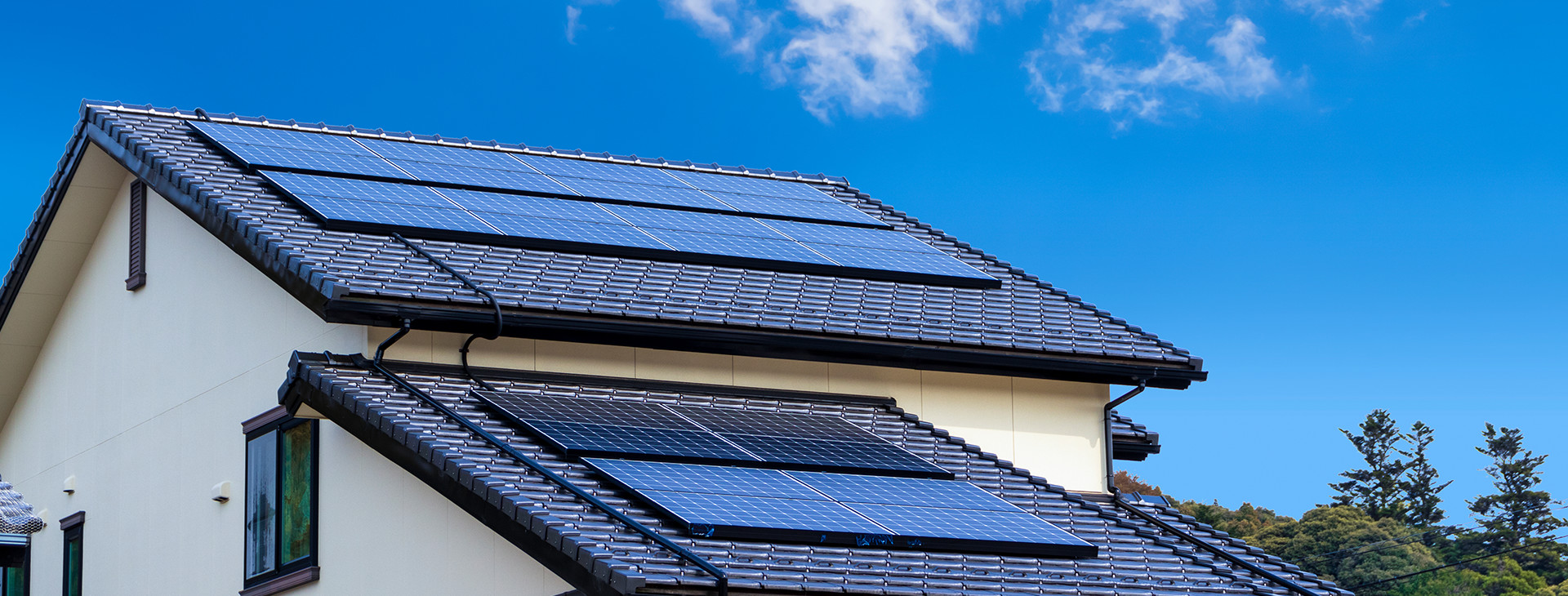 グローバルリープ合同会社 グローバルリープ合同会社 グローバルリープ合同会社 グローバルリープ合同会社